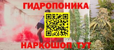 молекула духа Кинель