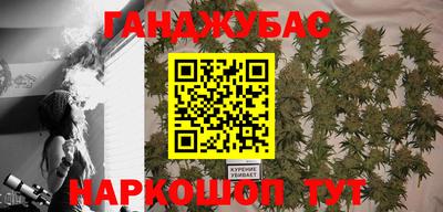 скорость Кингисепп