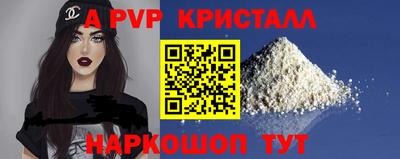 скорость Кингисепп