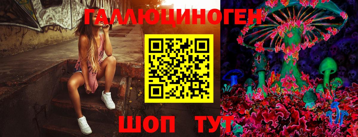 Псилоцибиновые грибы GOLDEN TEACHER Красногорск